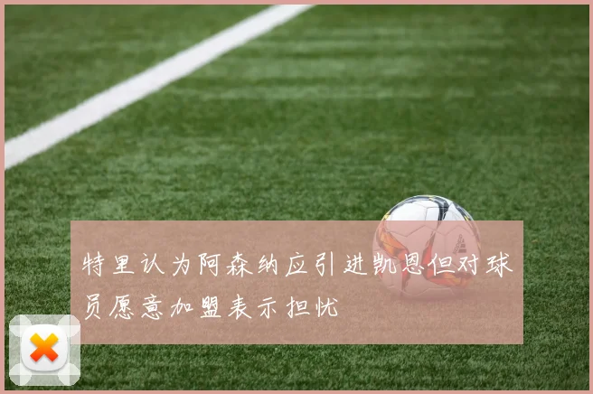 特里认为阿森纳应引进凯恩但对球员愿意加盟表示担忧